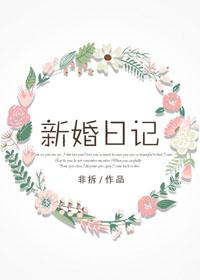 新婚日记百度TXT