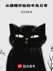 从猫开始的快穿生涯