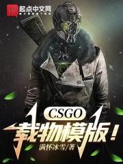 csgo载物模版笔趣阁