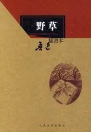 野草属于乡间大地在城市里被水泥丛林挤的男友