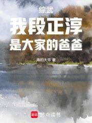 武侠之我是段正淳