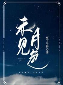 未见星月如遇山河什么意思