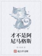 阿尼马格斯测试