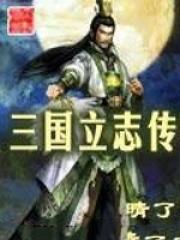 三国立志传2秘籍代码