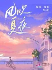 夏夜晚风吹