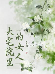 大宅院的女人电视剧全集剧情介绍