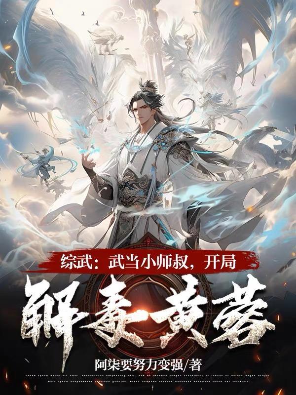 综武武当大师兄