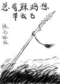 总有辣鸡想带我飞pdf