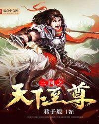 三国之天下至尊免费阅读