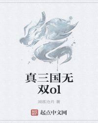 真三国无双OL