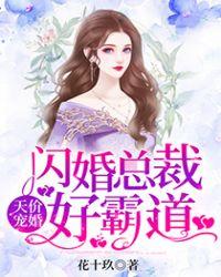 闪婚总裁太霸道了