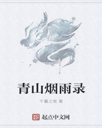 青衫烟雨客什么意思