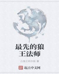 魔法师打狼王