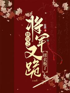 将军在上快穿文