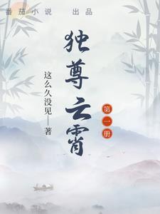 独尊苍穹在线阅读