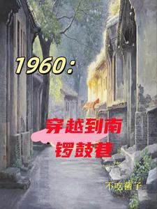 我在情满四合院