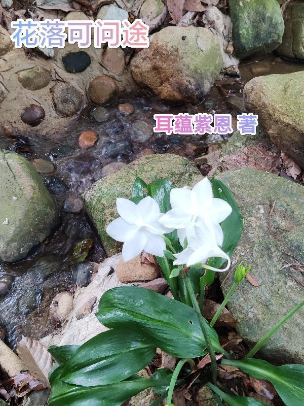 花落知半途