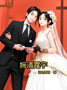 婉清是谁