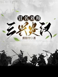 三国我刘辩三兴汉宰