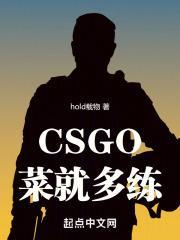 csgo菜就多练全文阅读